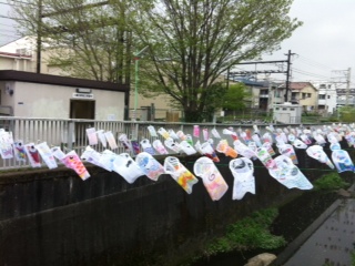koinobori.jpg